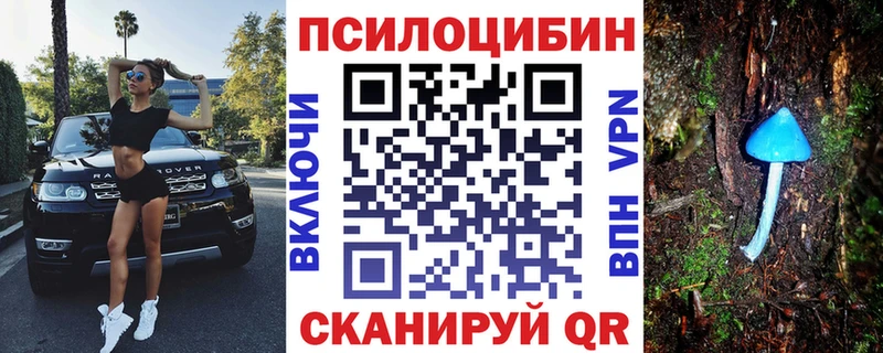 как найти наркотики  Рыбное  маркетплейс наркотические препараты  Галлюциногенные грибы MAGIC MUSHROOMS 